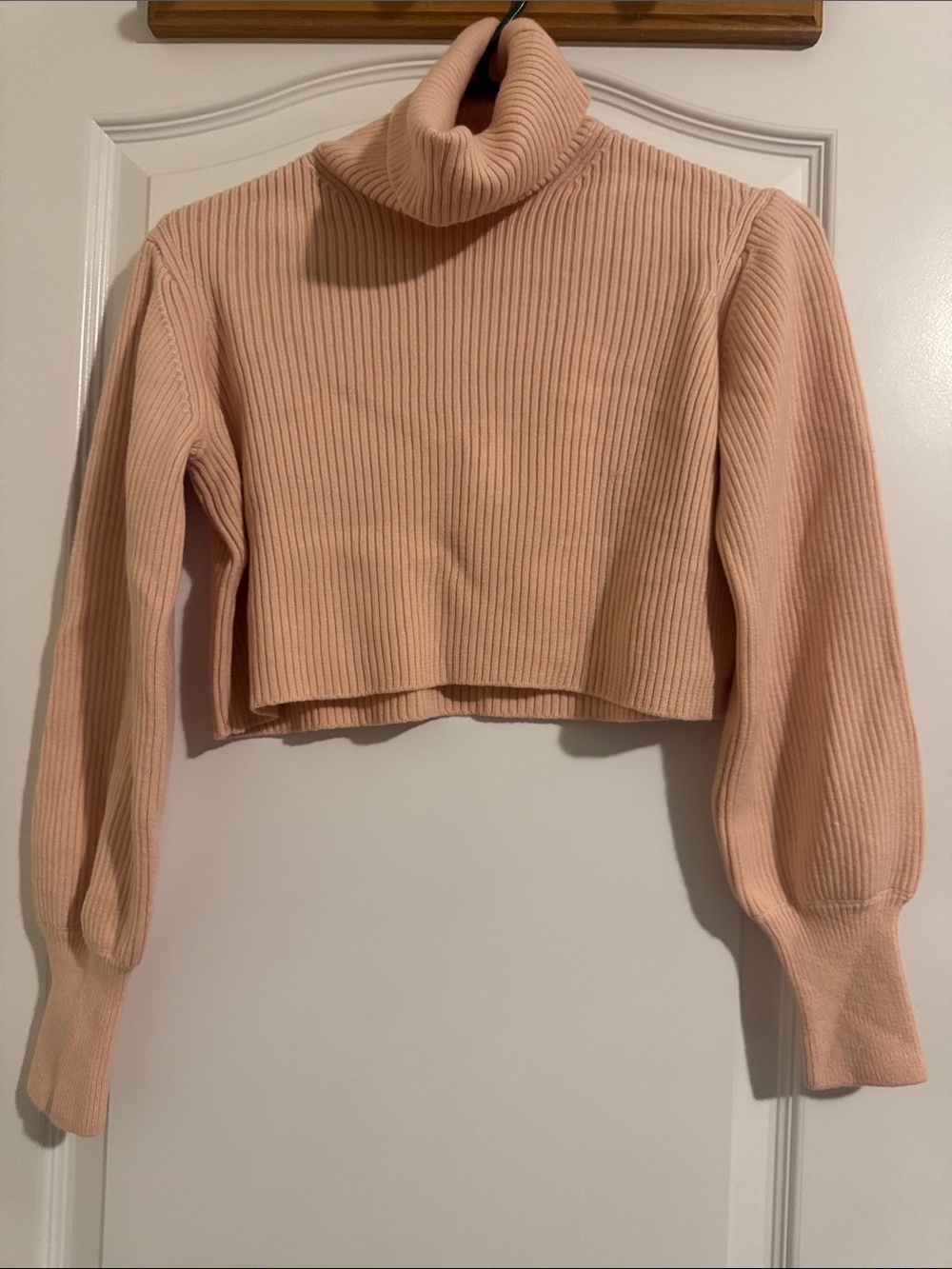 Aritzia Cropped Ribbed Turtleneck - Blush